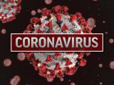 Coronavirus picture
